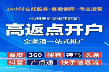 某某sem推广公司实战案例：精准投放提升转化率